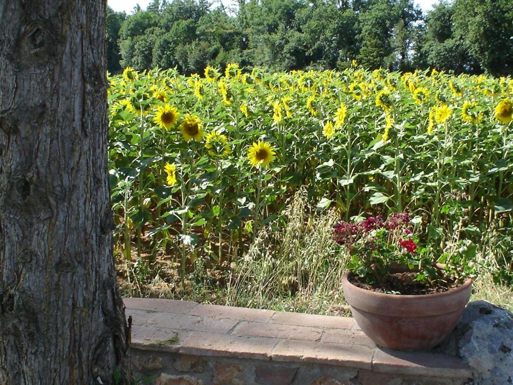 Hostal Casale Il Colombaio Di Toiano Valli Habitación foto