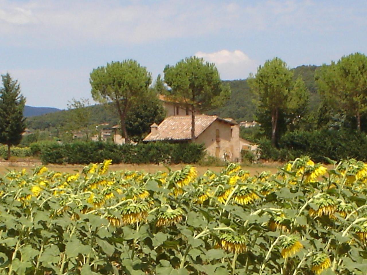 Hostal Casale Il Colombaio Di Toiano Valli Exterior foto