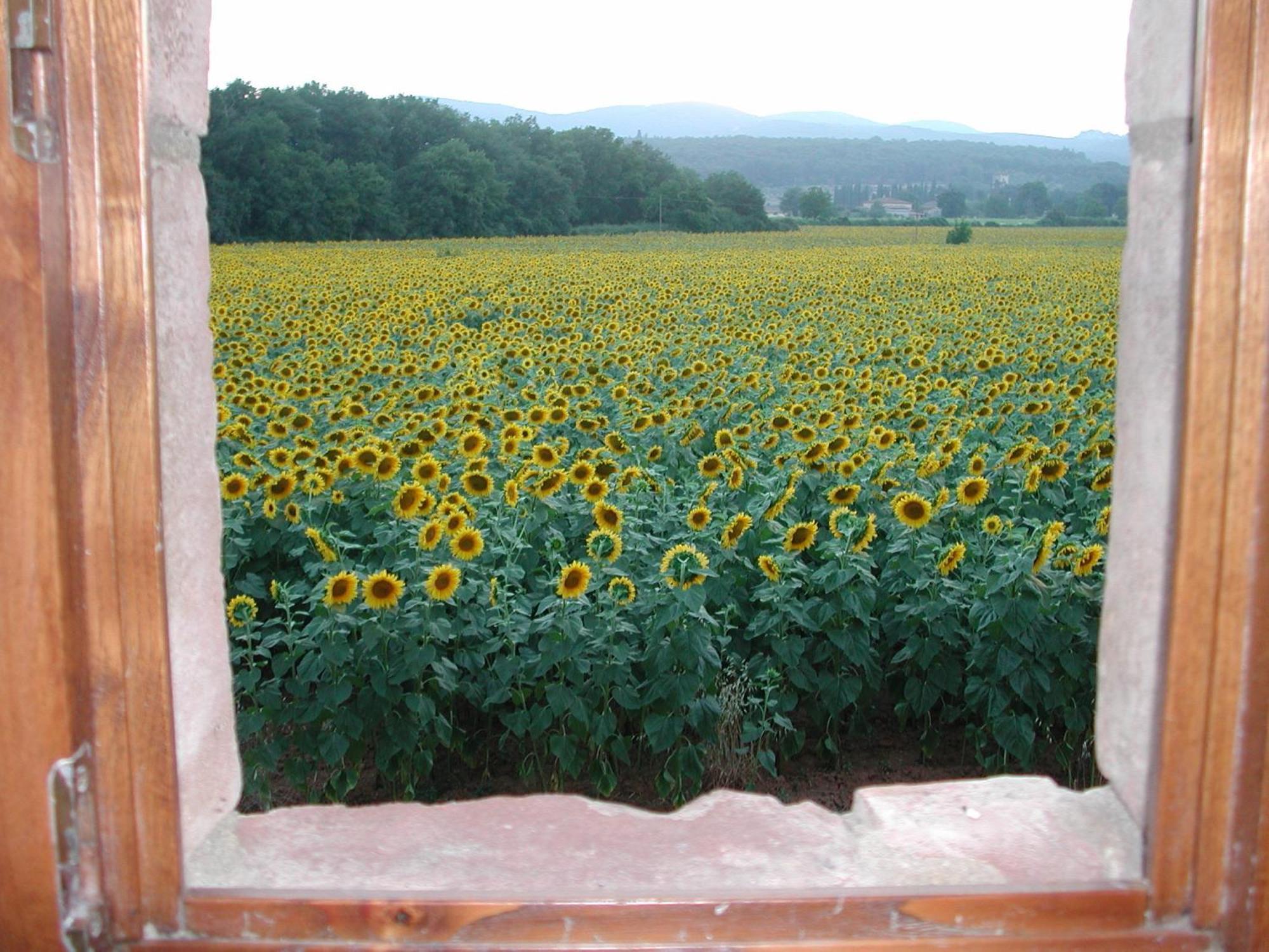 Hostal Casale Il Colombaio Di Toiano Valli Exterior foto