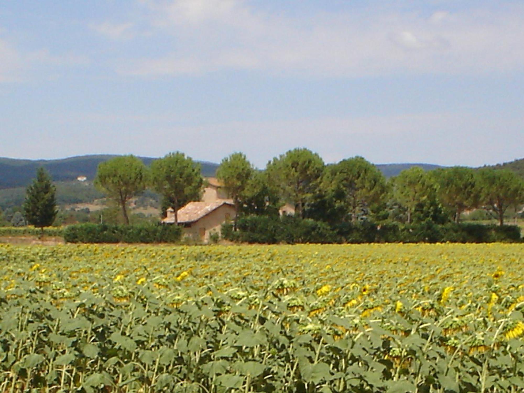 Hostal Casale Il Colombaio Di Toiano Valli Exterior foto