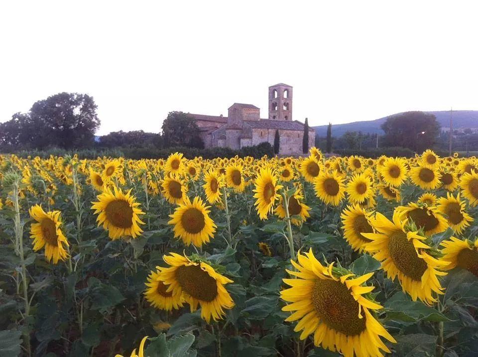 Hostal Casale Il Colombaio Di Toiano Valli Exterior foto