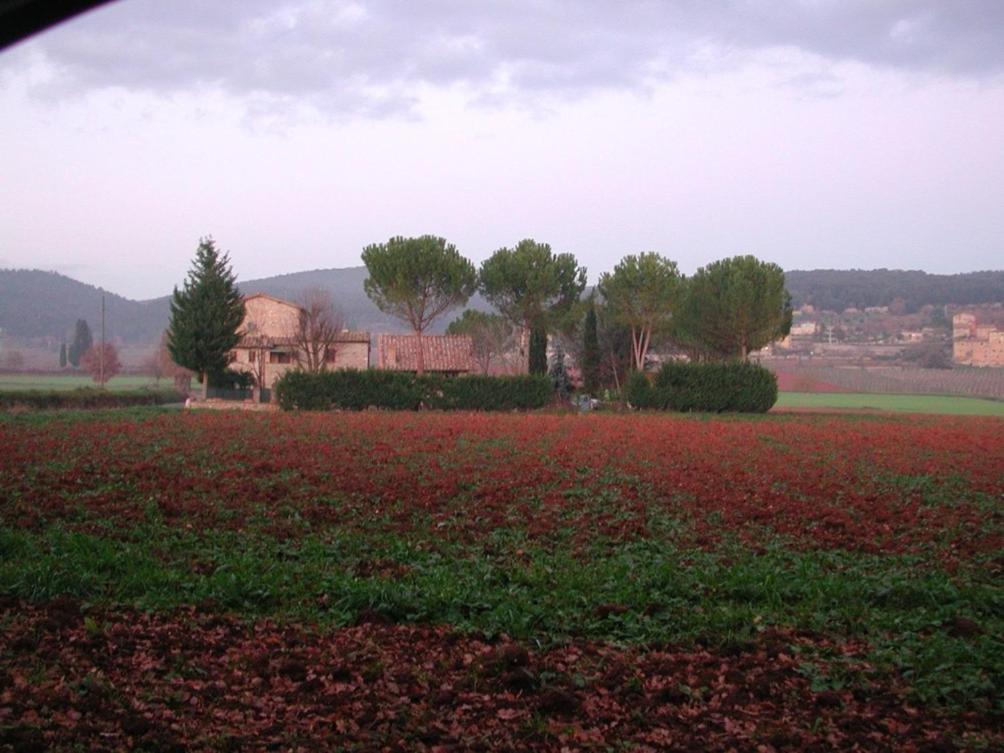 Hostal Casale Il Colombaio Di Toiano Valli Exterior foto